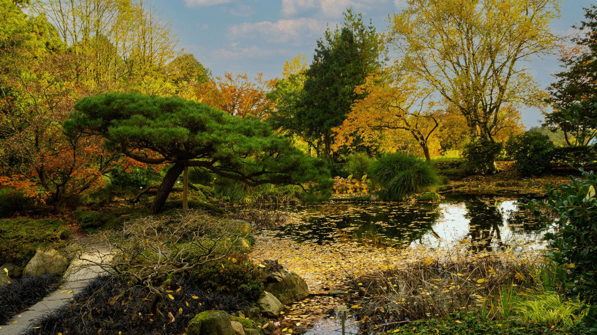 Der japanische Garten im Loki-Schmidt-Garten in Hamburg