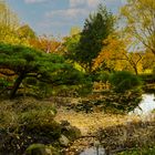 Der japanische Garten im Loki-Schmidt-Garten in Hamburg