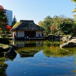 der japanische Garten in Planten un Blomen