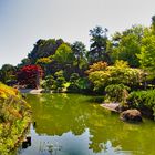 Der Japanische Garten IV