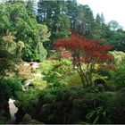 Der Japanischer Garten