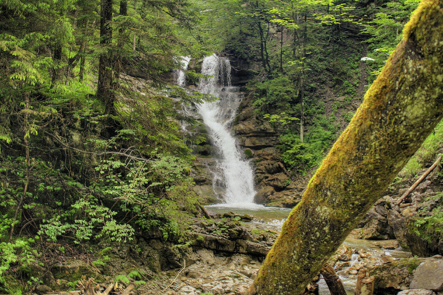 Der Jenbachfall 1