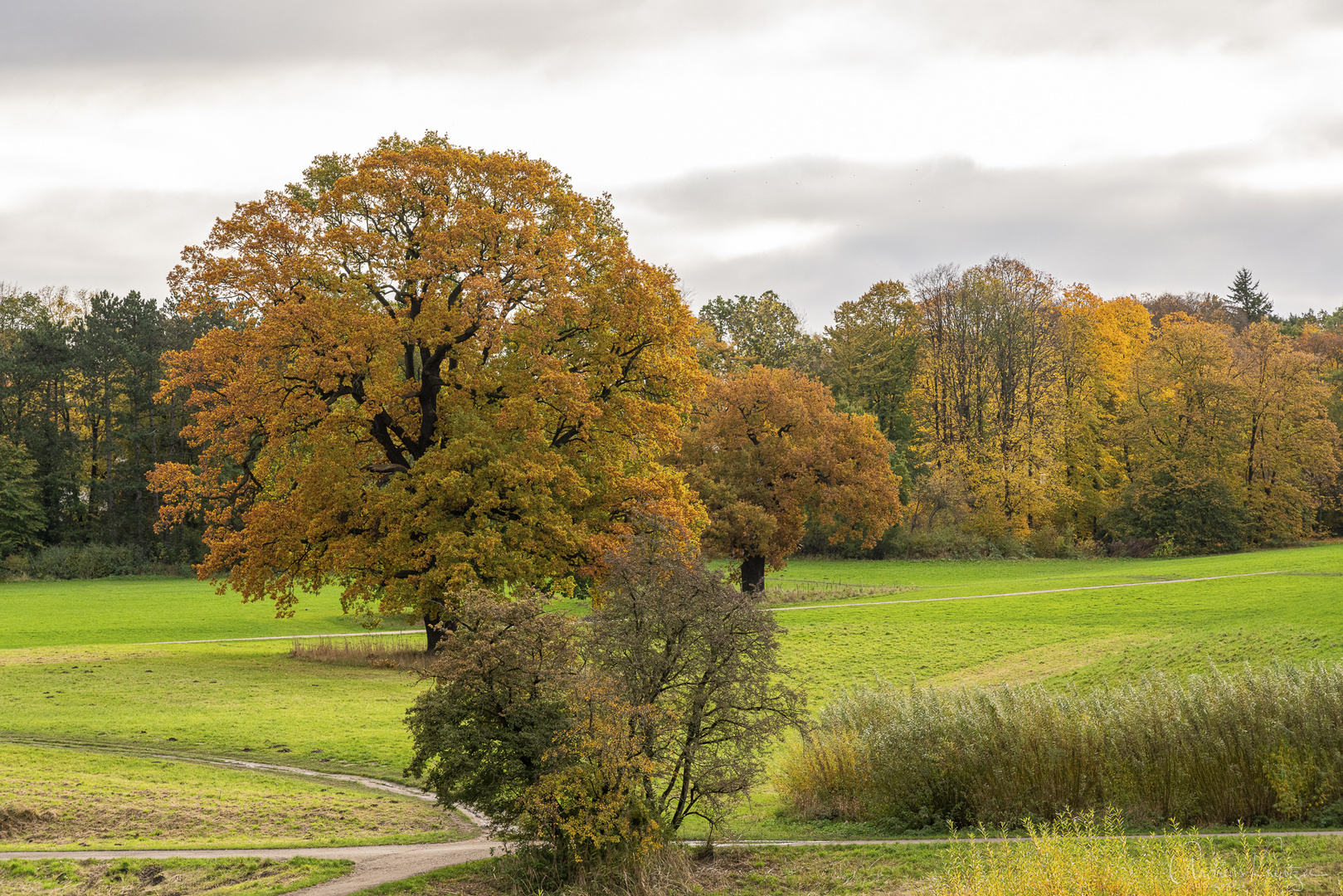 Der Jenisch Park im Herbst