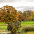 Der Jenisch Park im Herbst