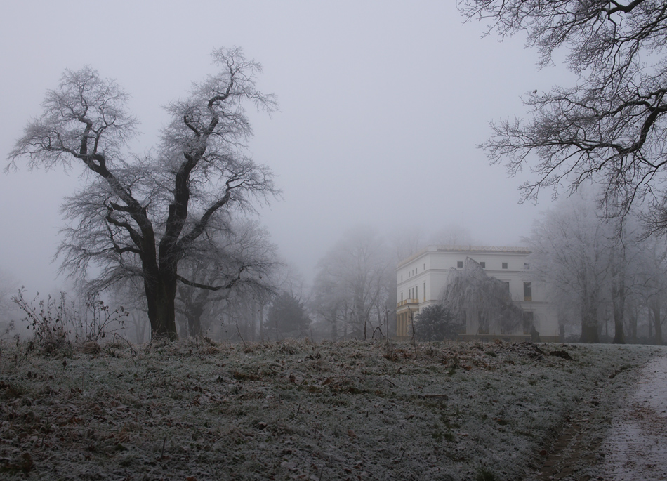 der Jenischpark