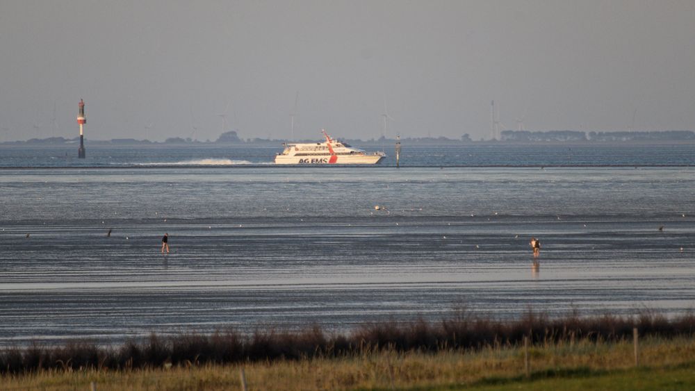 Der Jet-Katamaran der AG Ems aus Borkum/Emden abends auf der Aussenelbe kurz vor Cuxhaven