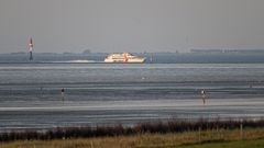 Der Jet-Katamaran der AG Ems aus Borkum/Emden abends auf der Aussenelbe kurz vor Cuxhaven