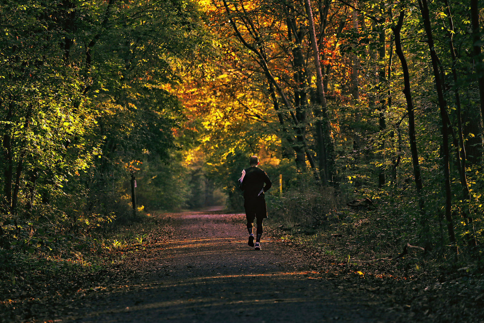 der Jogger