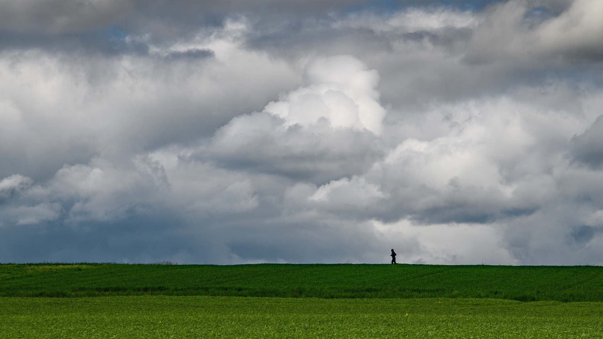 Der Jogger - Le joggeur