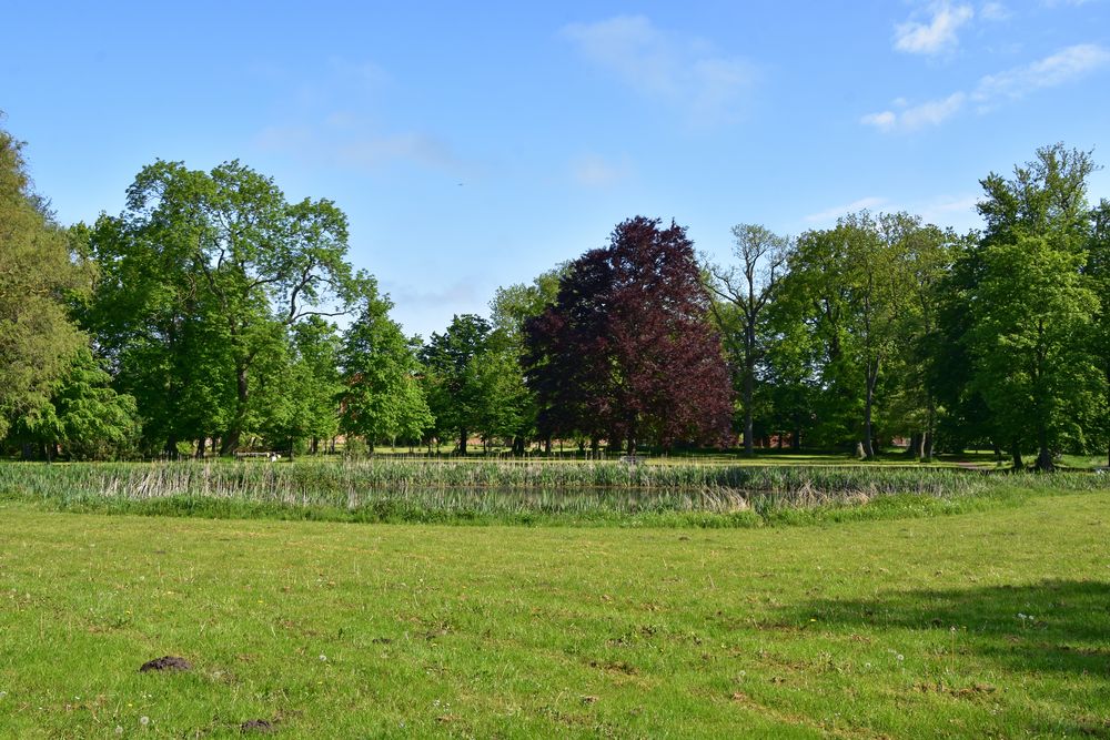 Der Johann-Sebastian-Bach-Garten in Bad Doberan