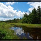 Der Jordan Pond in der Nähe von Bar Harbor an der Ostküste der USA