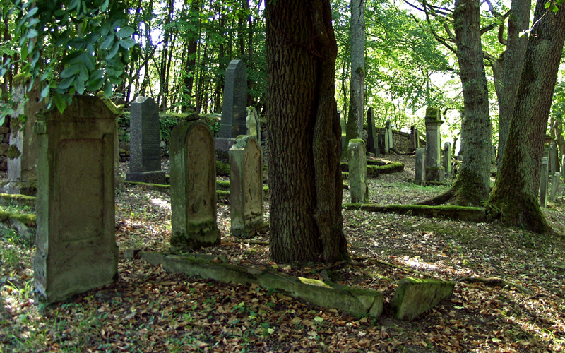 ~ Der Judenfriedhof bei Oberheimbach 02 ~