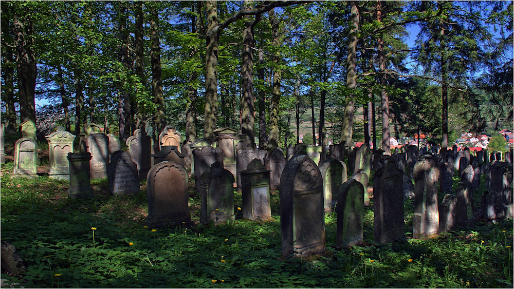 Der jüdische Friedhof in Bauerbach