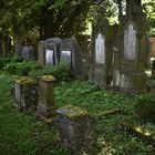 Der jüdische Friedhof in Bruchsal