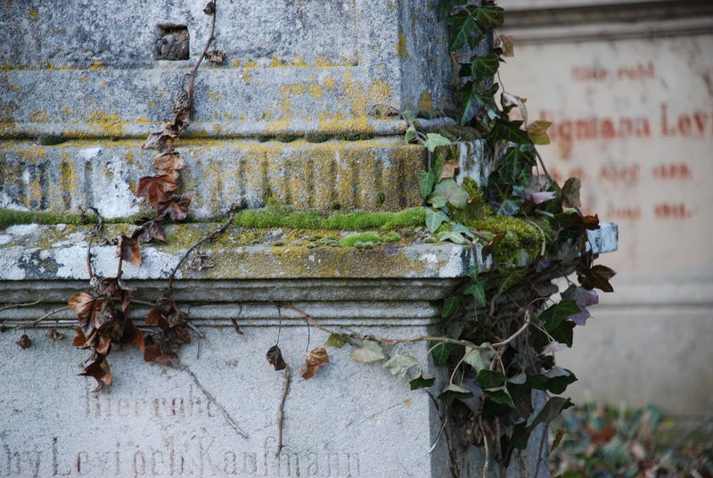 Der jüdische Friedhof in Freudental 2/3