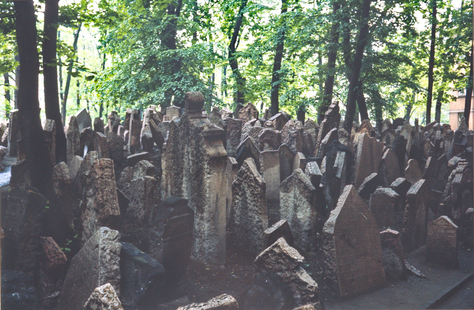 Der jüdische Friedhof in Prag