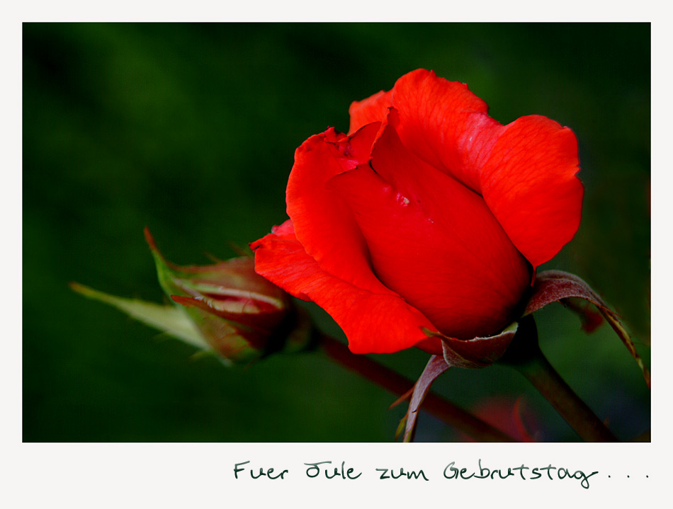 der Jule alles Liebe u. Gute zum Burzeltag !!