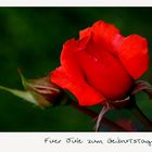 der Jule alles Liebe u. Gute zum Burzeltag !!