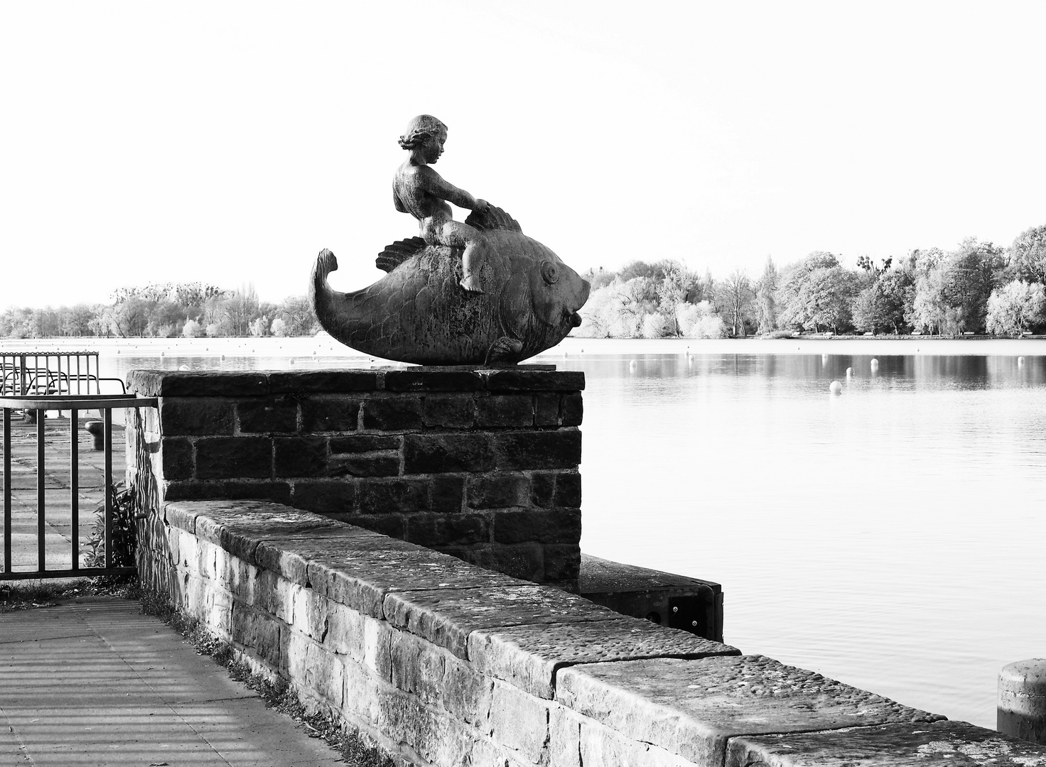 der Junge auf dem Fisch