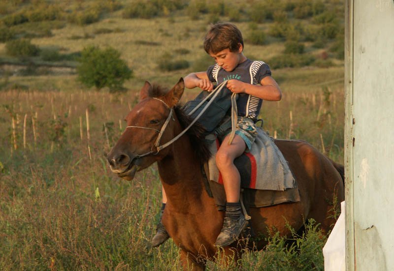 Der Junge auf dem Pferd