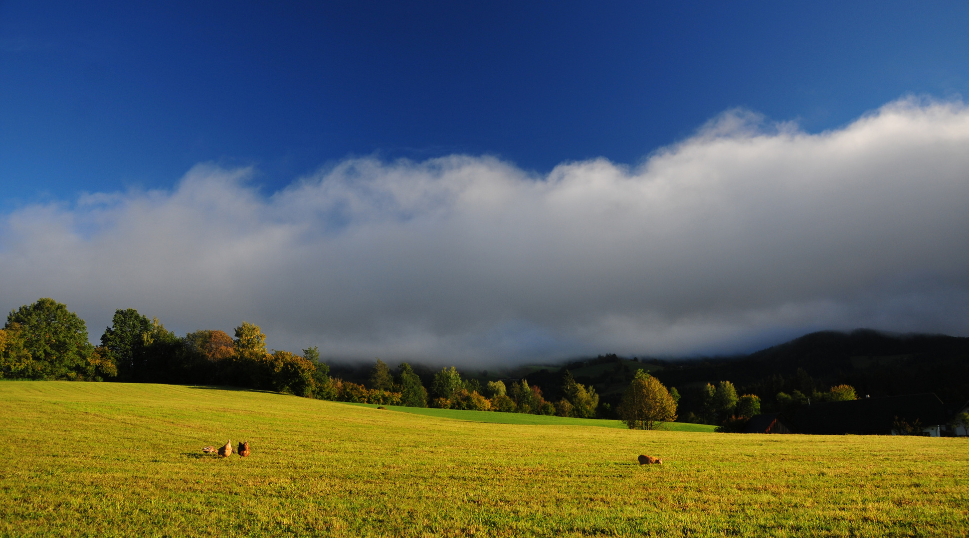 Der junge Herbst