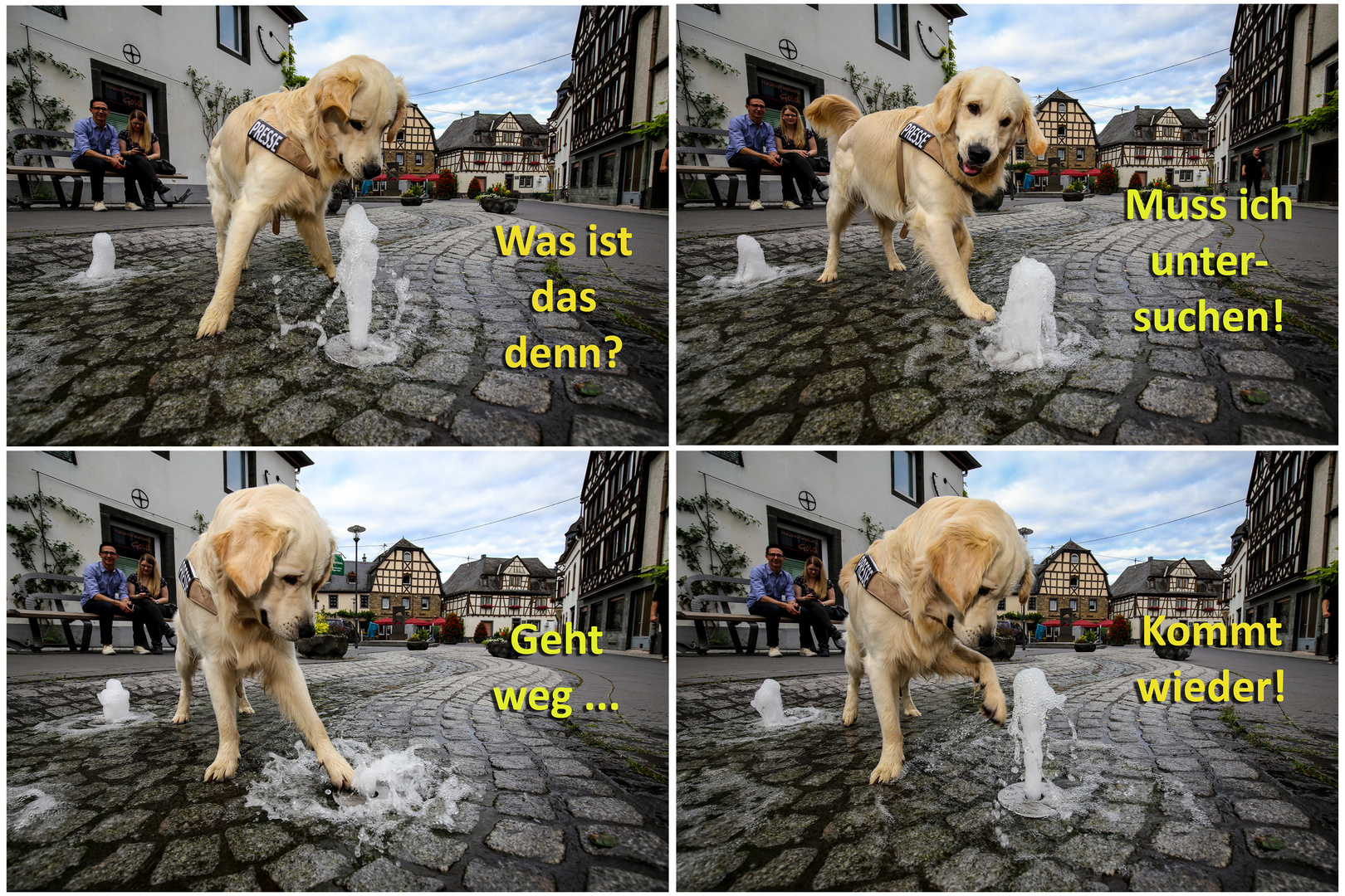 Der junge Maddy auf Entdeckungsreise