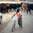 Der Junge mit dem Fahrrad