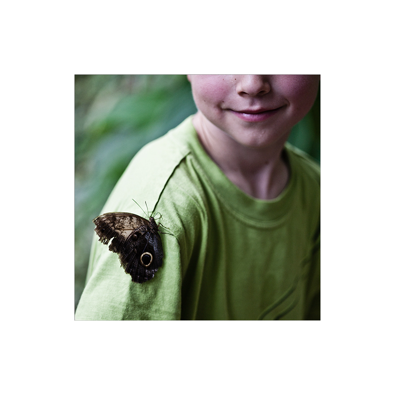 [ Der Junge mit dem Schmetterling ... ling ...ling ... ]