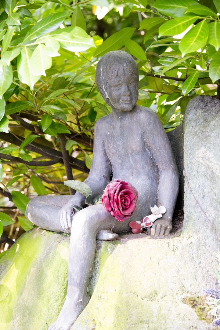 Der Junge mit der Rose