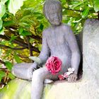 Der Junge mit der Rose