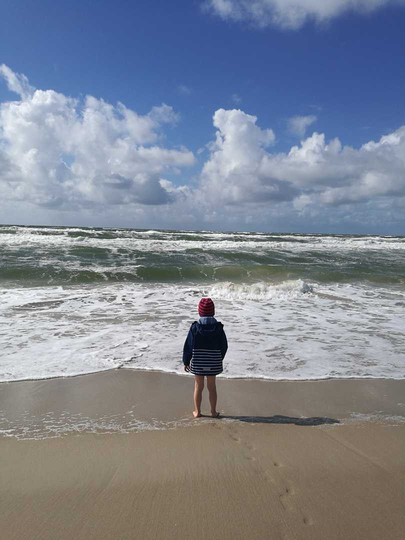 Der Junge und das Meer 