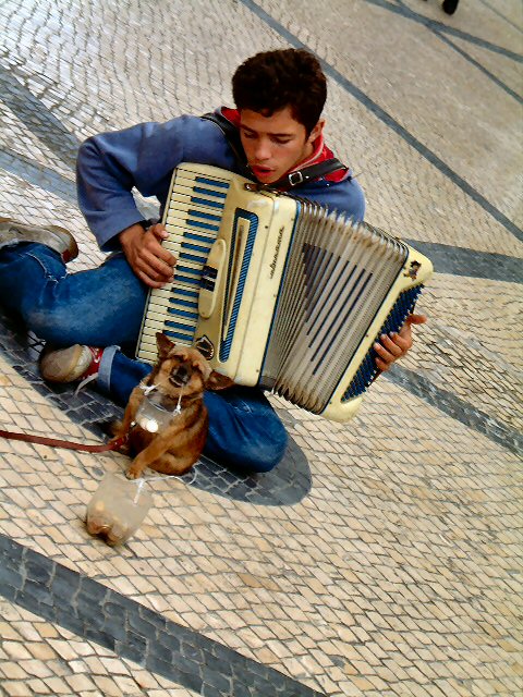 Der Junge und sein Hund