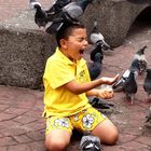 Der Junge und seine Tauben
