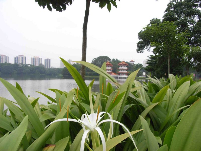 Der Jurong Lake, am Chinese Garden