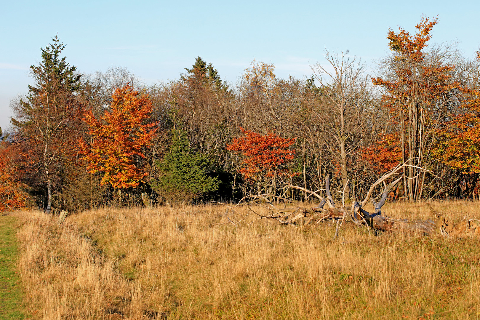 Der Kahle Asten im Herbst 2