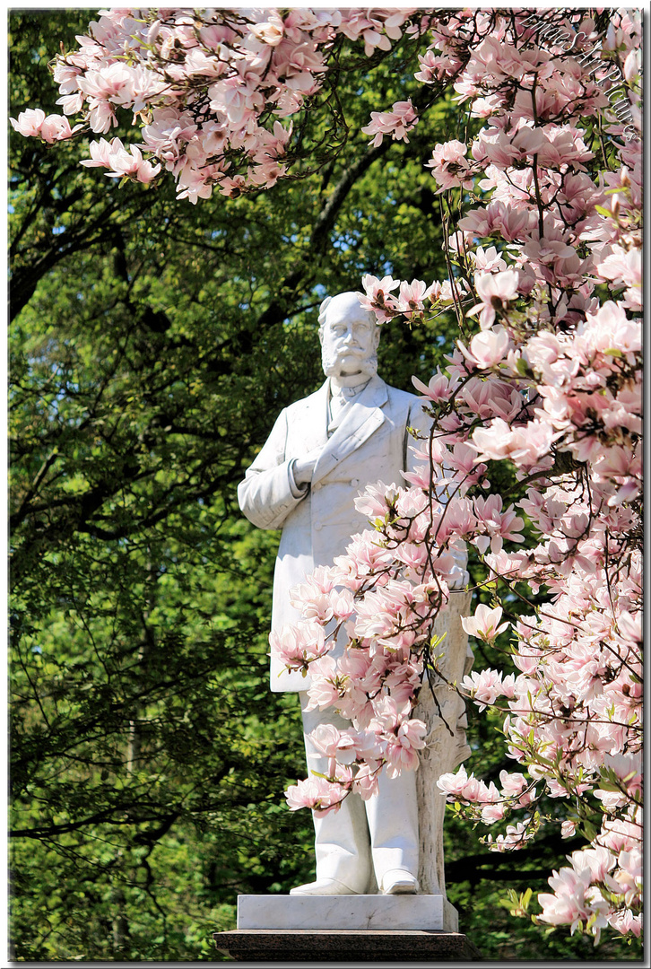 Der Kaiser hinter Magnolien Blüten