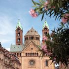 der kaiserdom zu speyer