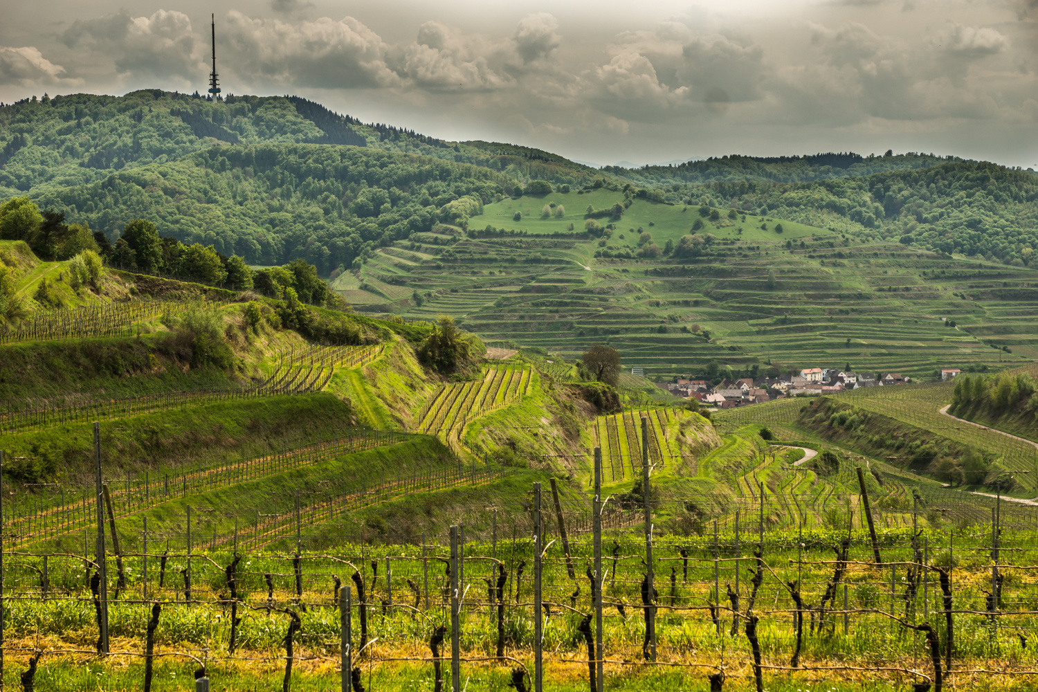 Der Kaiserstuhl