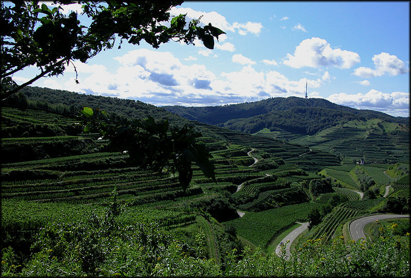 der Kaiserstuhl bei Kaiserwetter