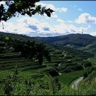 der Kaiserstuhl bei Kaiserwetter