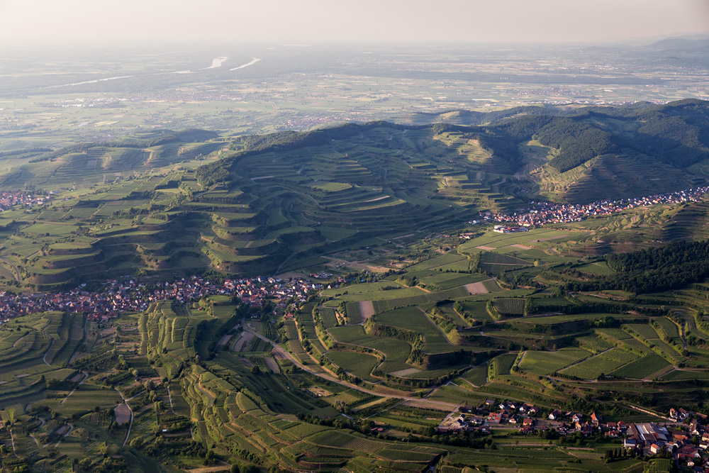 Der Kaiserstuhl - Reben, soweit das Auge reicht