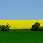 Der Kalt-Warm-Kontrast in der Natur