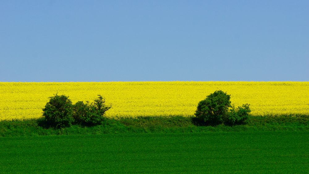 Der KaltWarmKontrast in der Natur Foto &amp; Bild natur, landschaft
