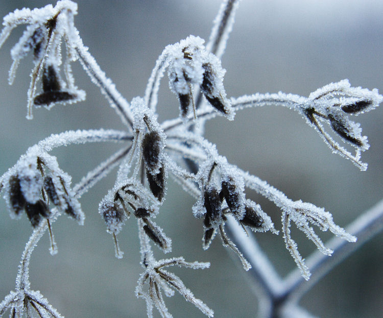 Der kalte Gruß vom Winter