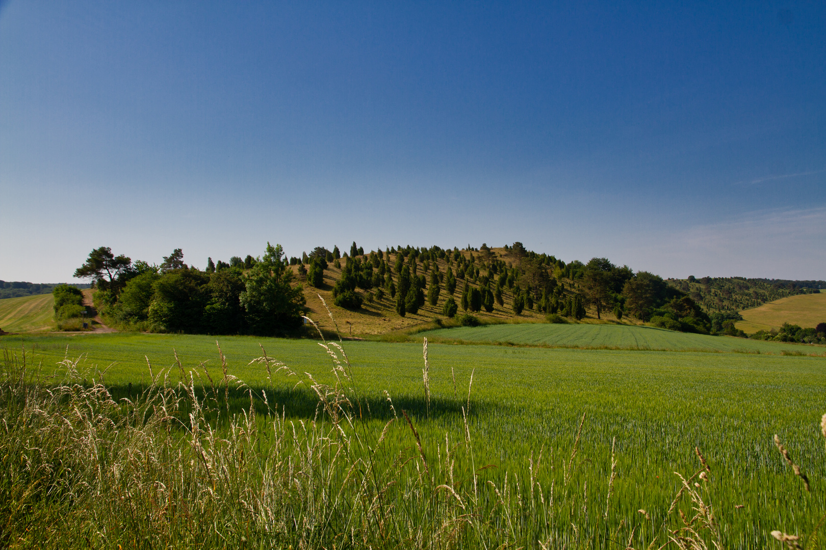 Der Kalvarienberg