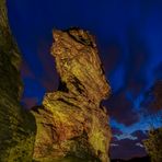 Der Kamelkopf von hinten