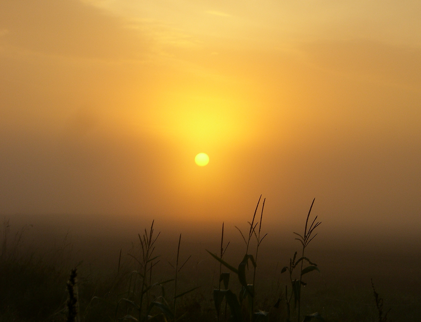 Der Kampf der Sonne ....