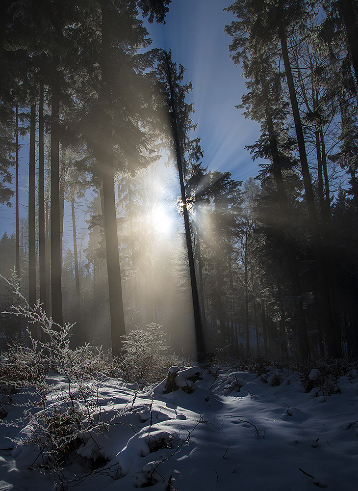 Der Kampf der Sonne gegen den Nebel...