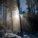 Der Kampf der Sonne gegen den Nebel...