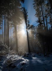 Der Kampf der Sonne gegen den Nebel...